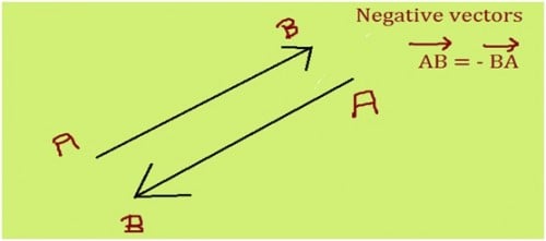 Negative Vector Tutor Pace