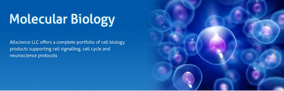 what-is-the-difference-between-biochemistry-molecular-biology-and