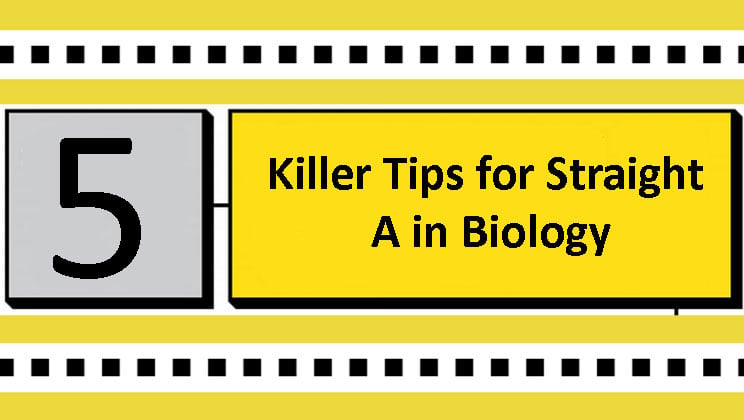 Killer Tips for Straight A in Biology